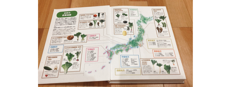 野菜・果物図鑑の裏表紙