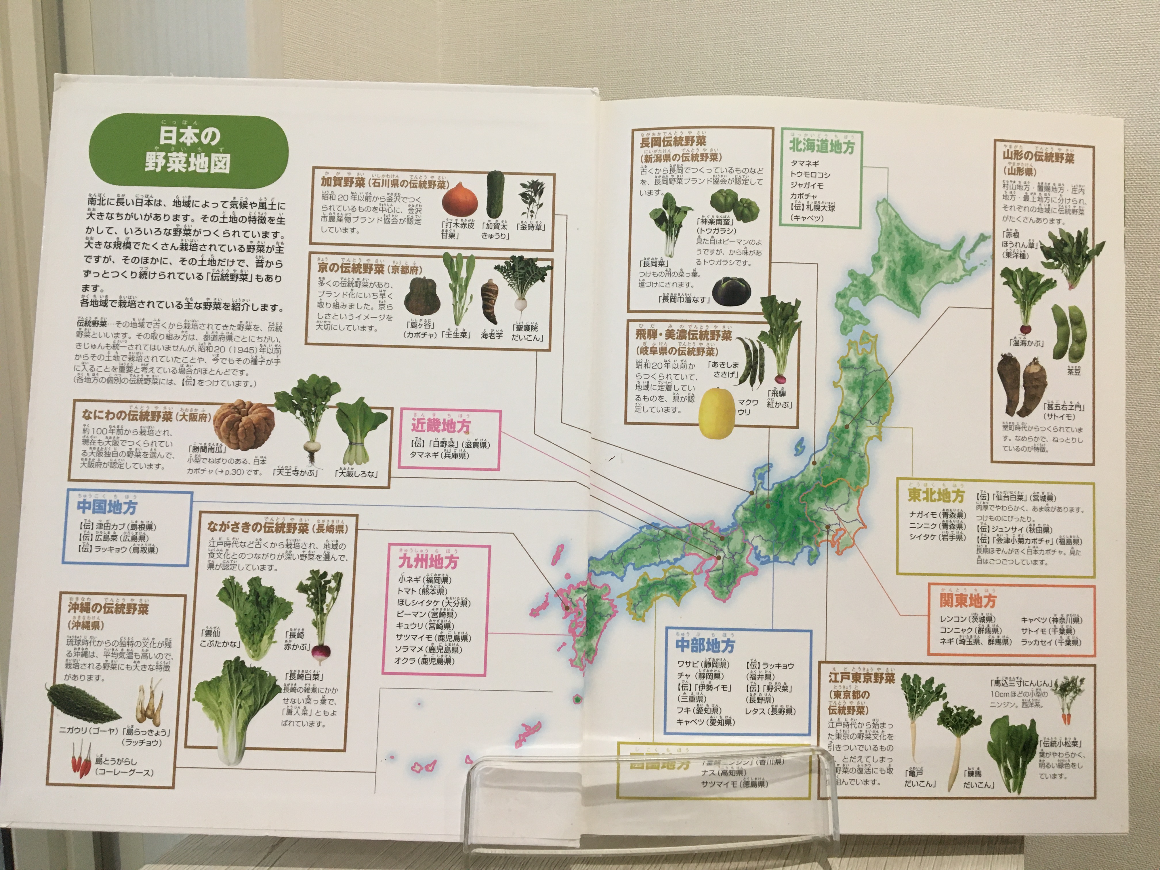 表紙の裏には、日本の野菜地図が載っていたり