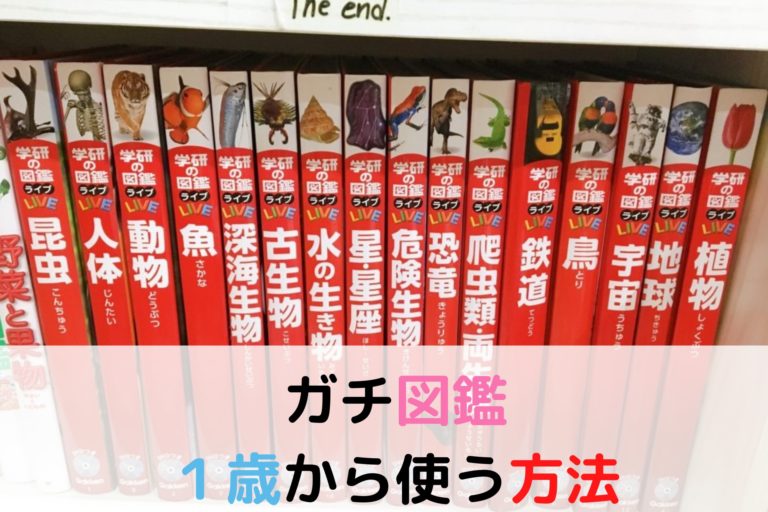 保育士解説 子供 幼児 に学研の図鑑を与えた効果 現役保育士ママの幼児教育情報配信メディア