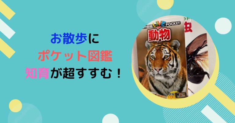 新ポケット版学研の図鑑はオススメ 幼児とのお散歩に 現役保育士ママの幼児教育情報配信メディア