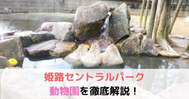 姫路セントラルパーク　ドライブサファリ・ウォーキングサファリ動物園を解説