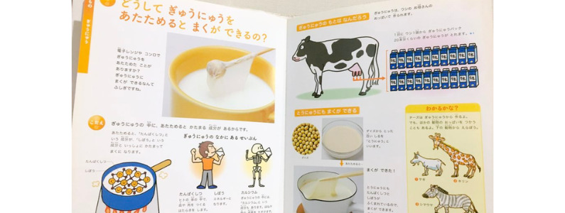 ふしぎの図鑑より牛乳の解説のページ